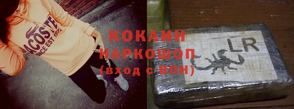 крисы Магадан