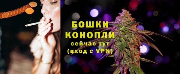 крисы Магадан