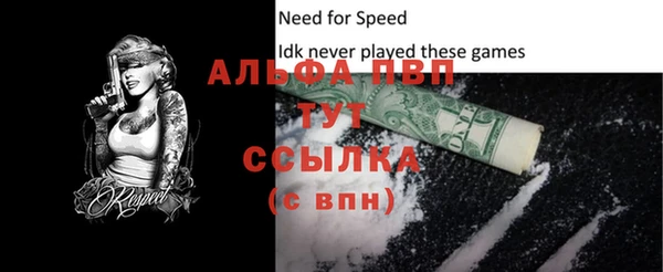 крисы Магадан