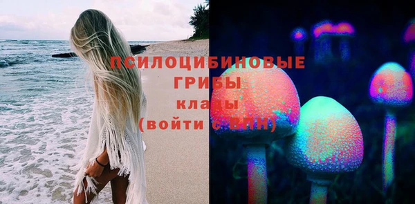 крисы Пыталово