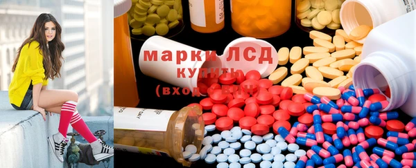 крисы Магадан