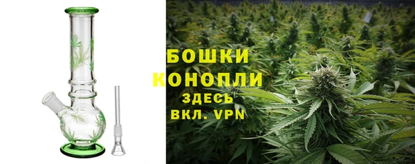 a pvp Лиски