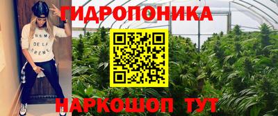 mdma Гай