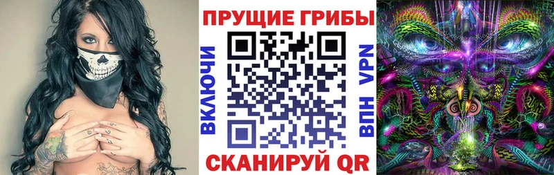 Псилоцибиновые грибы Cubensis Углич