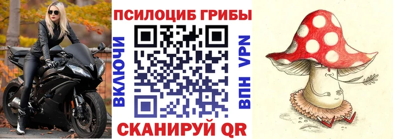 Псилоцибиновые грибы Psilocybe  Углич 