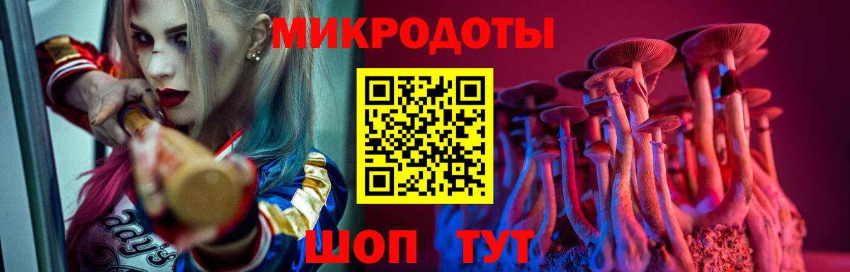 Углич  Галлюциногенные грибы Psilocybe  Вход с VPN  Псилоцибиновые грибы ЛСД 